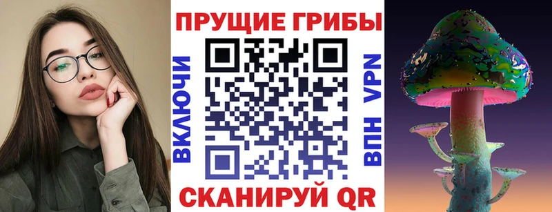 Галлюциногенные грибы Psilocybe Константиновск